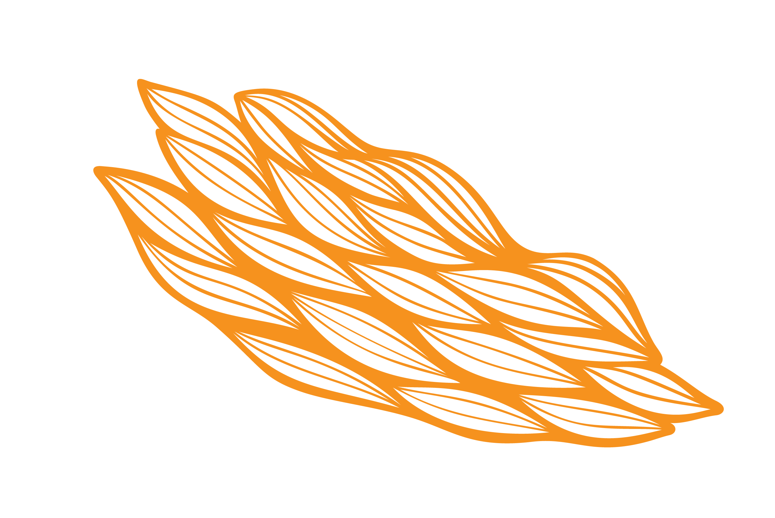 Orange Algae