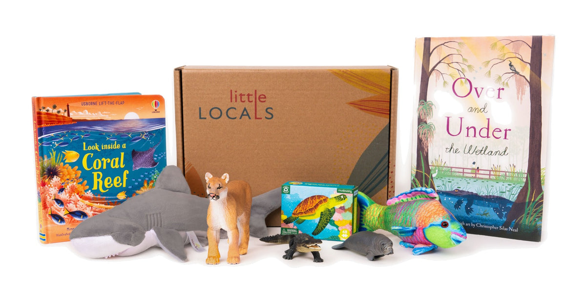 Sub-Tropics Toddler Treks Place Kit